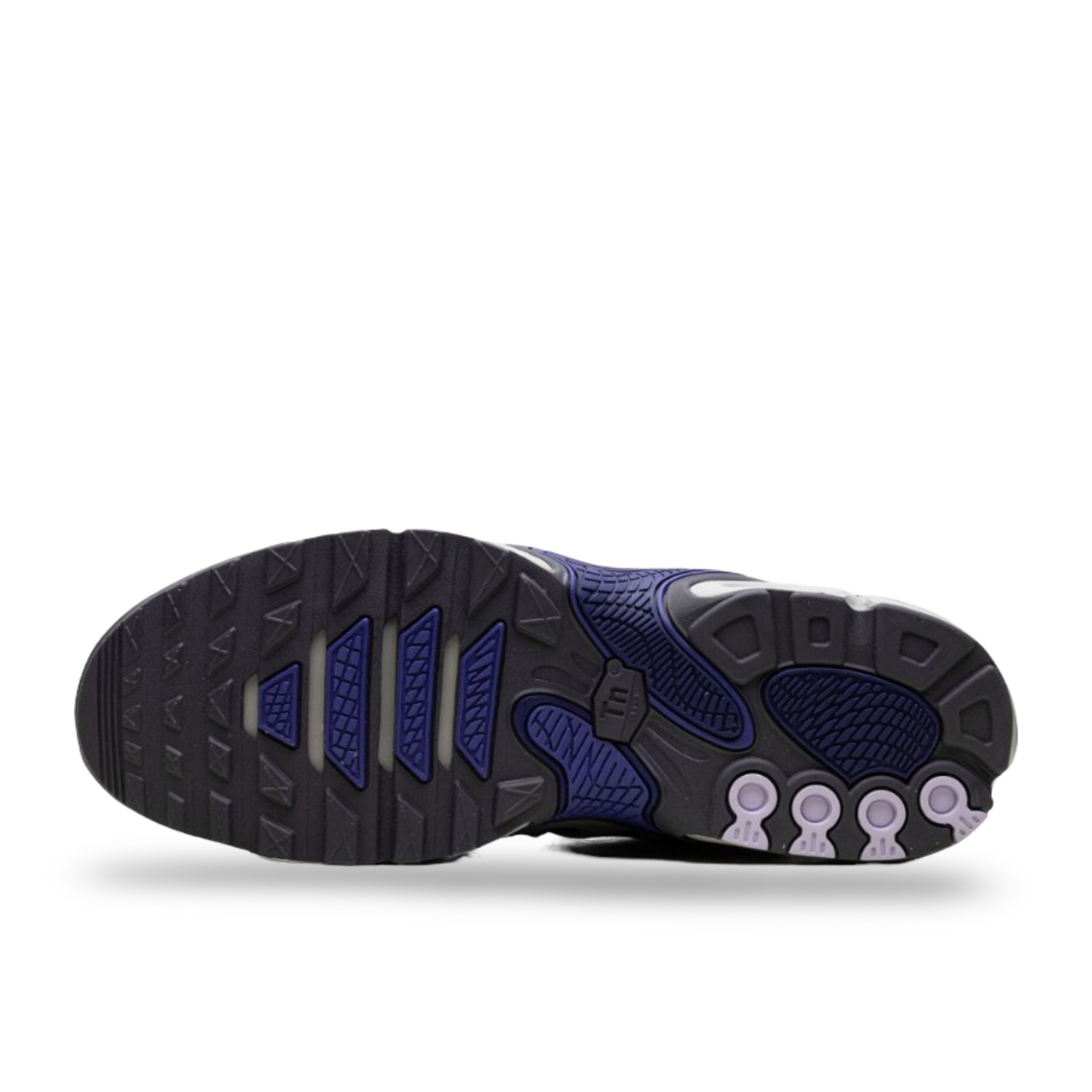 Nike Air Max Plus Drift "Concord"